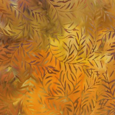 Fern12aa1
