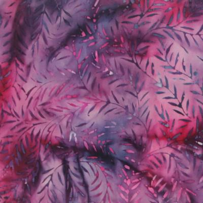 Fern13aa1