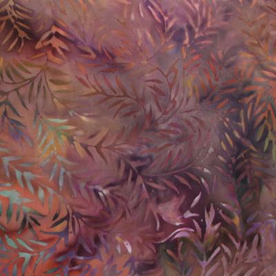 Fern8aa1
