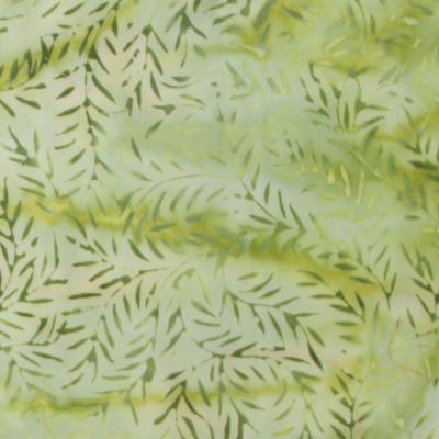 Fern9aa1